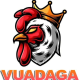 vuadagaorg's avatar