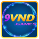 Profile picture of 9vndgames