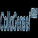 collagenseicom