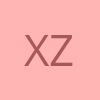 xj zhang profile picture