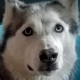 ecaepp Avatar