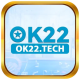 Foto del perfil de ok22tech