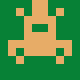 guest avatar