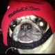 TylerMayfield Avatar