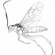 Dave Carmean Avatar