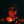phluid61 (Matthew Kerwin)