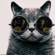 Fouad Masoud Avatar