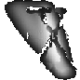 Zdenek Maxa Avatar
