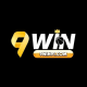 Foto del perfil de 9win91com
