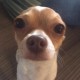 Profile picture of iralapsley