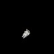 Profile picture of rowboat 000