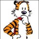 SteveBorkman Avatar