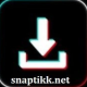 Profile picture of The Rise of Online TikTok Video Downloaders: A Convenience or Cause for Concern?