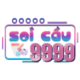 soicau9999homnay's Avatar