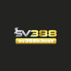 sv388 b buzz's user avatar