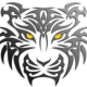 user avatar image for Tyger Eyes