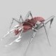 bug0r Avatar