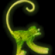 wakumaku Avatar