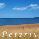 user avatar image for Petaris
