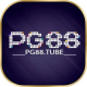 Foto del perfil de PG88