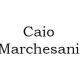 Profile picture of Caio Marchesani