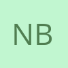 Nikita Borisov profile picture