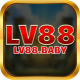 Profile picture of lv88 baby