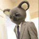 Koalabaerchen Avatar