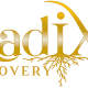 Radix Recovery's user avatar