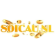 soicaunl