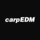 carpedm20 Avatar