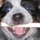 jrowe Avatar
