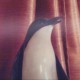 user1032245 Avatar