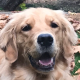 Profile photo of ainsleywilliams