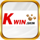 kwinskin