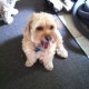 jillianjiggs Avatar