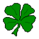 ccm Avatar