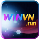 winvnrun