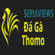 Foto del perfil de Đá Gà Trực Tiếp Thomo