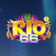 Profile picture of 45937733