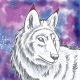 user avatar image for Wolf Saanen