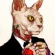 Profile picture of I show how to earn a lot krupayner.blogspot.com Tw