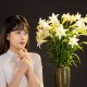 Profile picture of studiochupanhdep