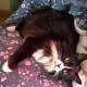 Tom Avatar
