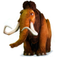 Brayden Avatar