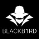 blackb1rd