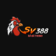 Profile picture of SV388