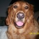 Profile picture of justdano