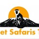 Profile picture of vervet safari