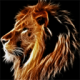 Leo Avatar